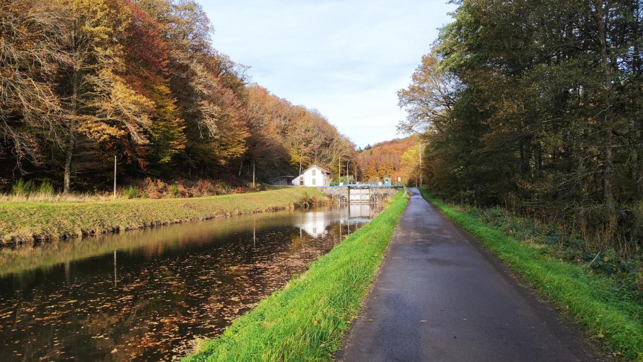 Spacieux Duplex Tout Confort A 200M Des Thermes De Bains-Les-Bains Dans Les Vosges Buitenkant foto